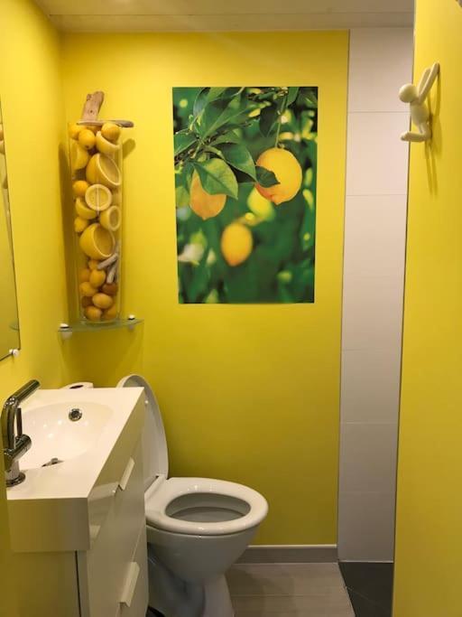 Studio Au Jardin Fleuri فيرفيرس المظهر الخارجي الصورة