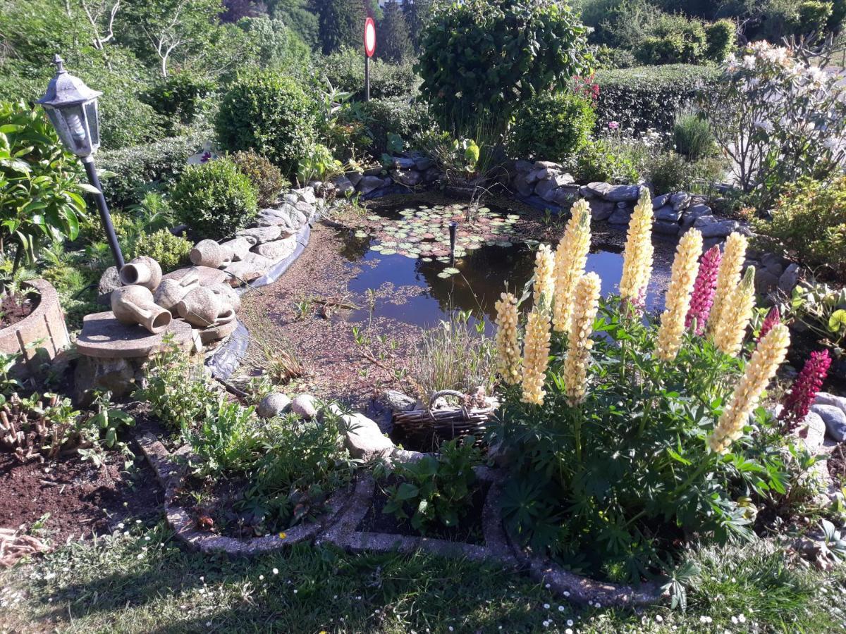 Studio Au Jardin Fleuri فيرفيرس المظهر الخارجي الصورة