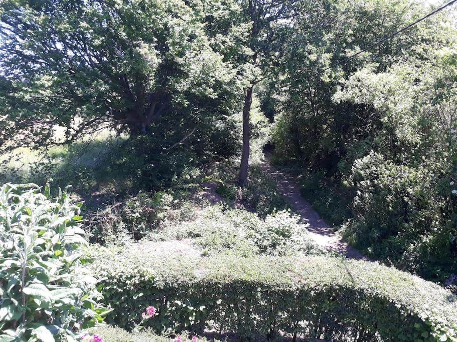 Studio Au Jardin Fleuri فيرفيرس المظهر الخارجي الصورة